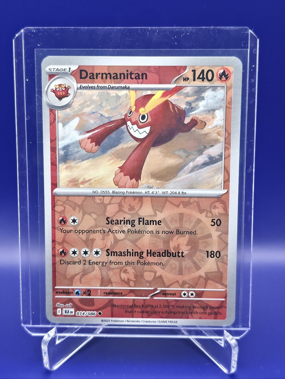Pokémon TCG - Darumaka -> Darmanitan - Black Bolt - 013/086 & 014/086 - Picture 4 of 5